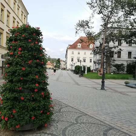 Zielone Wzgorze 3 Apartment